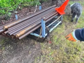 288254471 10158762228583061 6557538774896411549 N1