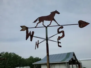 288462219 10158762229698061 6151541188099255939 N