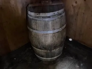 293222997 10158802023598061 2830174708402345620 N