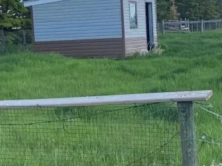 293307301 10158802023548061 4595108045918728173 N