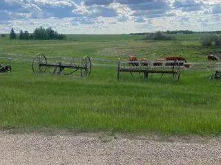 293375066 10158802023113061 6863880927658504742 N