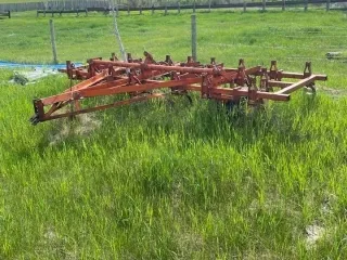 293533101 10158802023383061 4954452306435414226 N